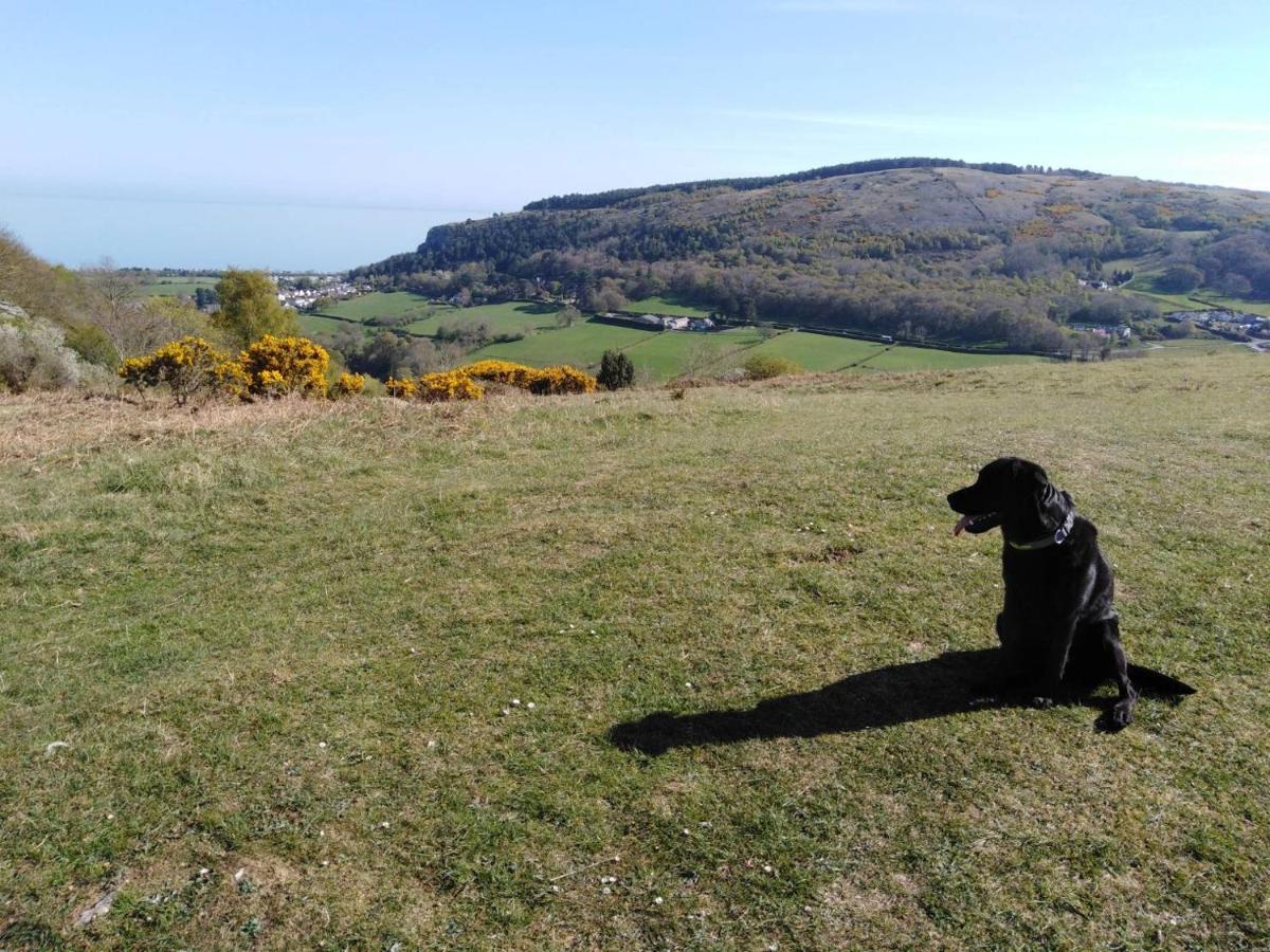 Conwy Pen Cefn Farm Holiday Abergele Exteriér fotografie